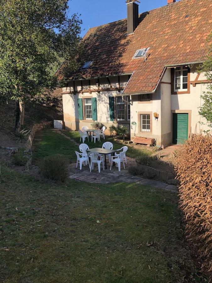 Wein Lodge Durbach - Gruppenhaus Weingut Neveu Esterno foto